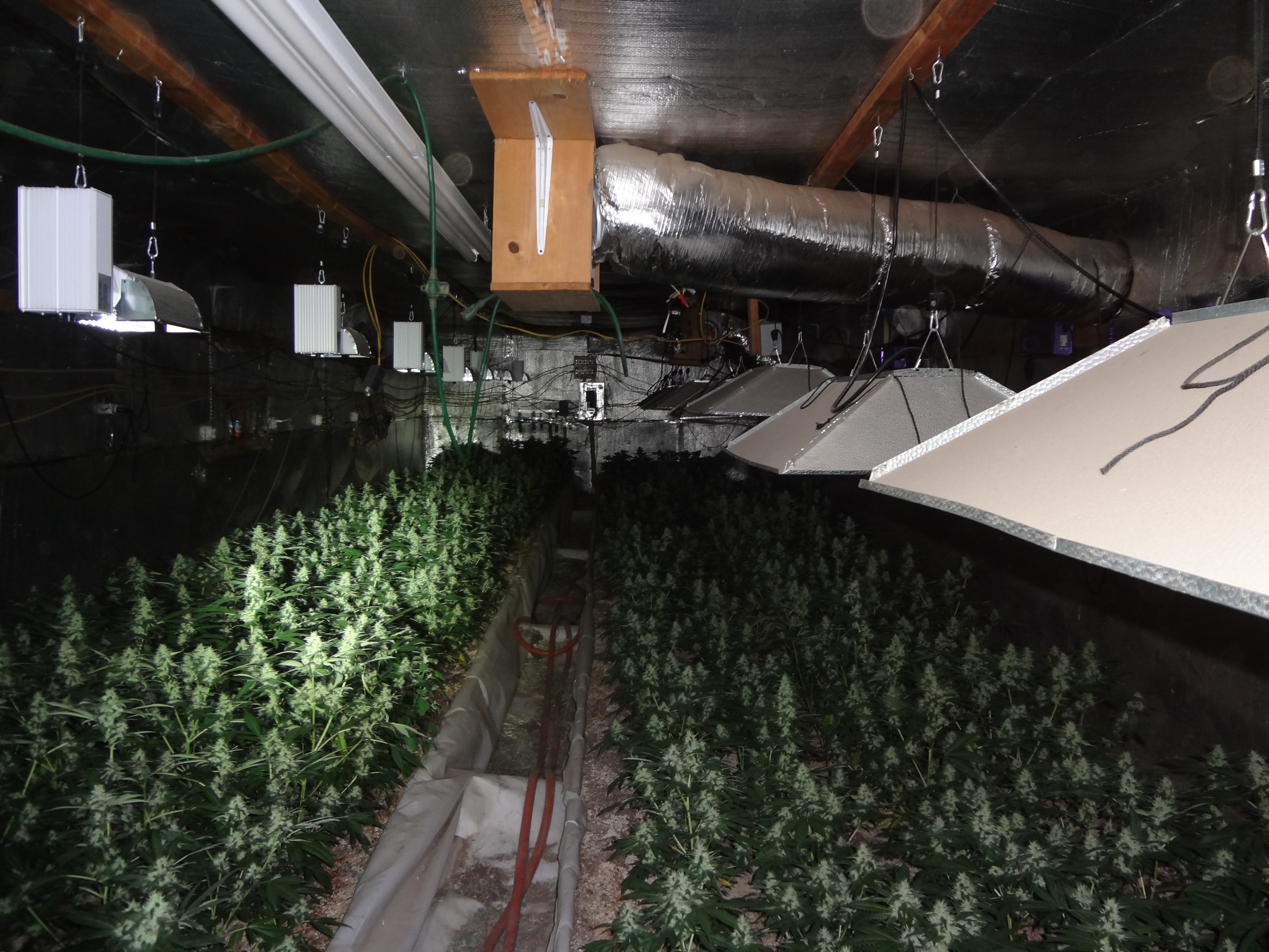 Search Warrants - Case 201502868